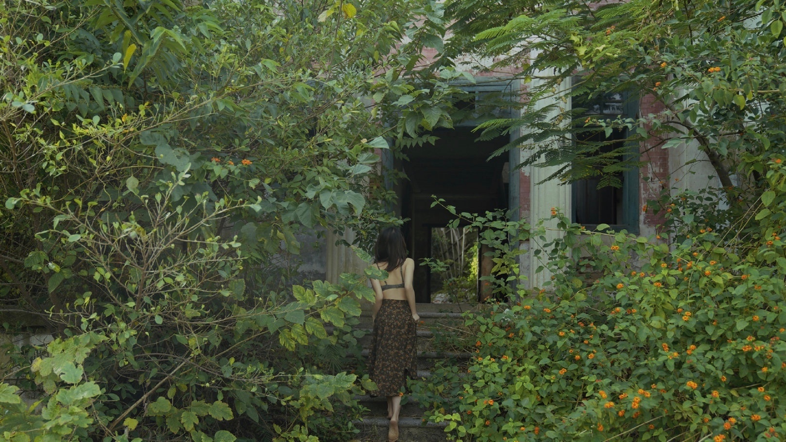 闲聊一二，关于森林浴